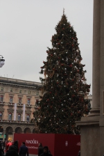 Christmas tree Duomo